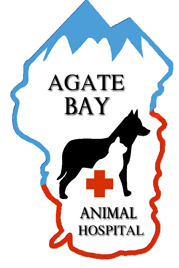 Agate Bay Animal Hospital & Dog Gone Crazy Logo